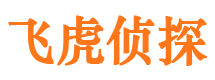 霞山外遇出轨调查取证